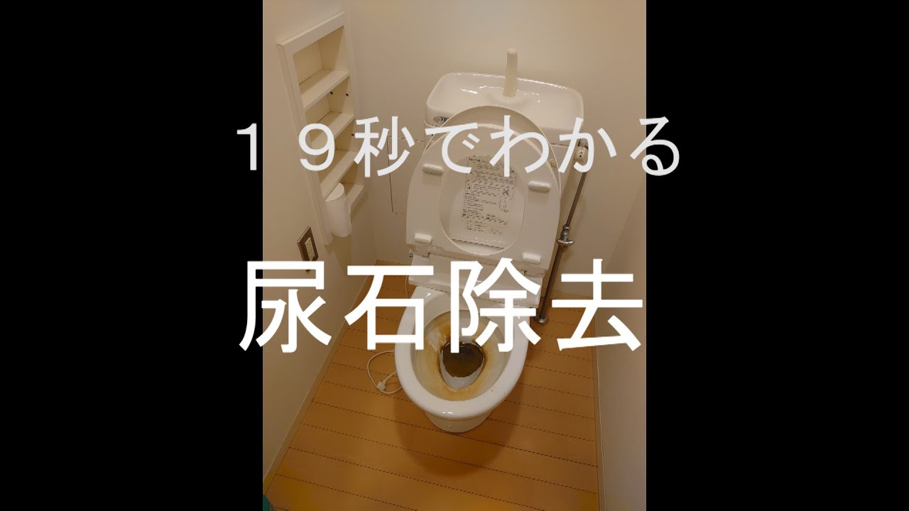 【真実】トイレの洋便器の尿石除去 新品みたいになった。 YouTube