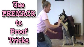 Use Premack to Proof your dogs Tricks: Dog Training