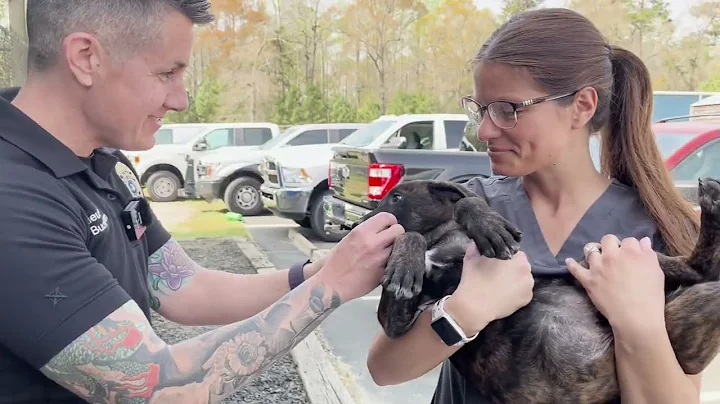 Tour the Horry County Animal Care Center - March 2025