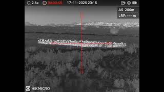 Thermal Jackal Hunt with Hikmicro Panther PQ50 L 2.0