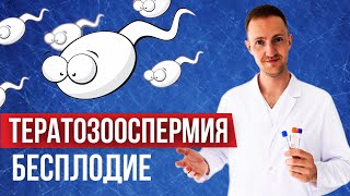 Бесплодие у мужчин | Тератозооспермия | Причины, диагностика и лечение | Доктор Зотеев