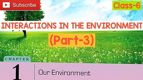 DAV |Our Environment | Interaction in the environment | Mineral cycle | Class-6 |Part-3