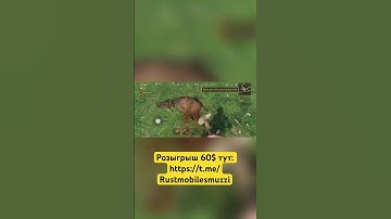 RUST Mobile #lios #rust #rustmobile #растмобайл #раст #lastislandofsurvival #oxide #arenabreakout