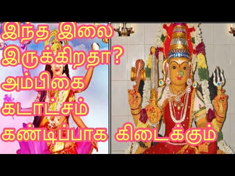 சரஸ்வதி-பூஜை-எளிய-முறையில்-கொண்டாடுவது-எப்படி?