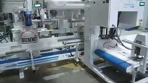 Pacepacker Total Bag Control System On Woven Poly Bags