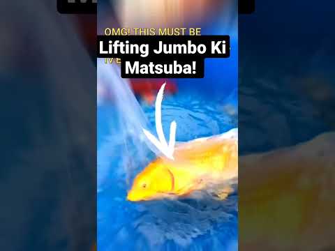 Lifting Jumbo Ki