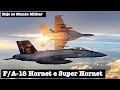 F/A-18 Hornet e Super Hornet