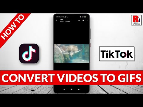 How To Make GIFs From TikTok Videos 