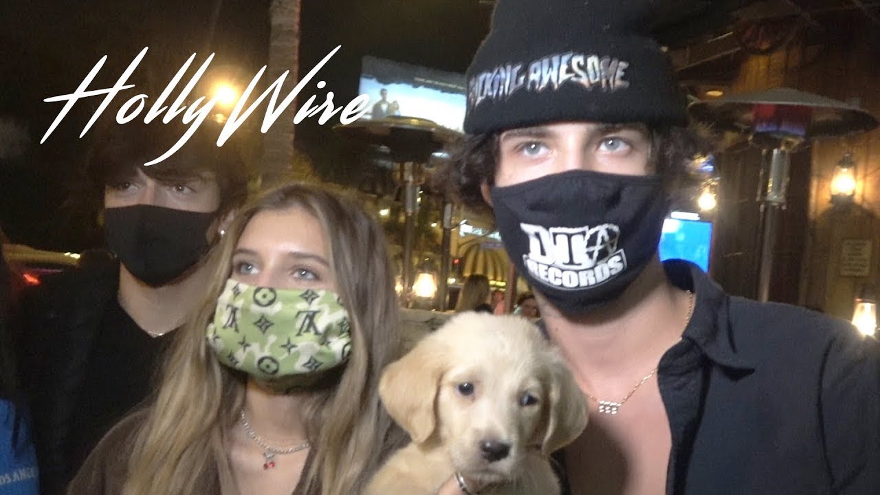 Jaden Hossler & Mads Lewis's new dog confirms relationship