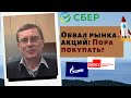 Александр Баулин - Обвал рынка акций! Пора покупать?