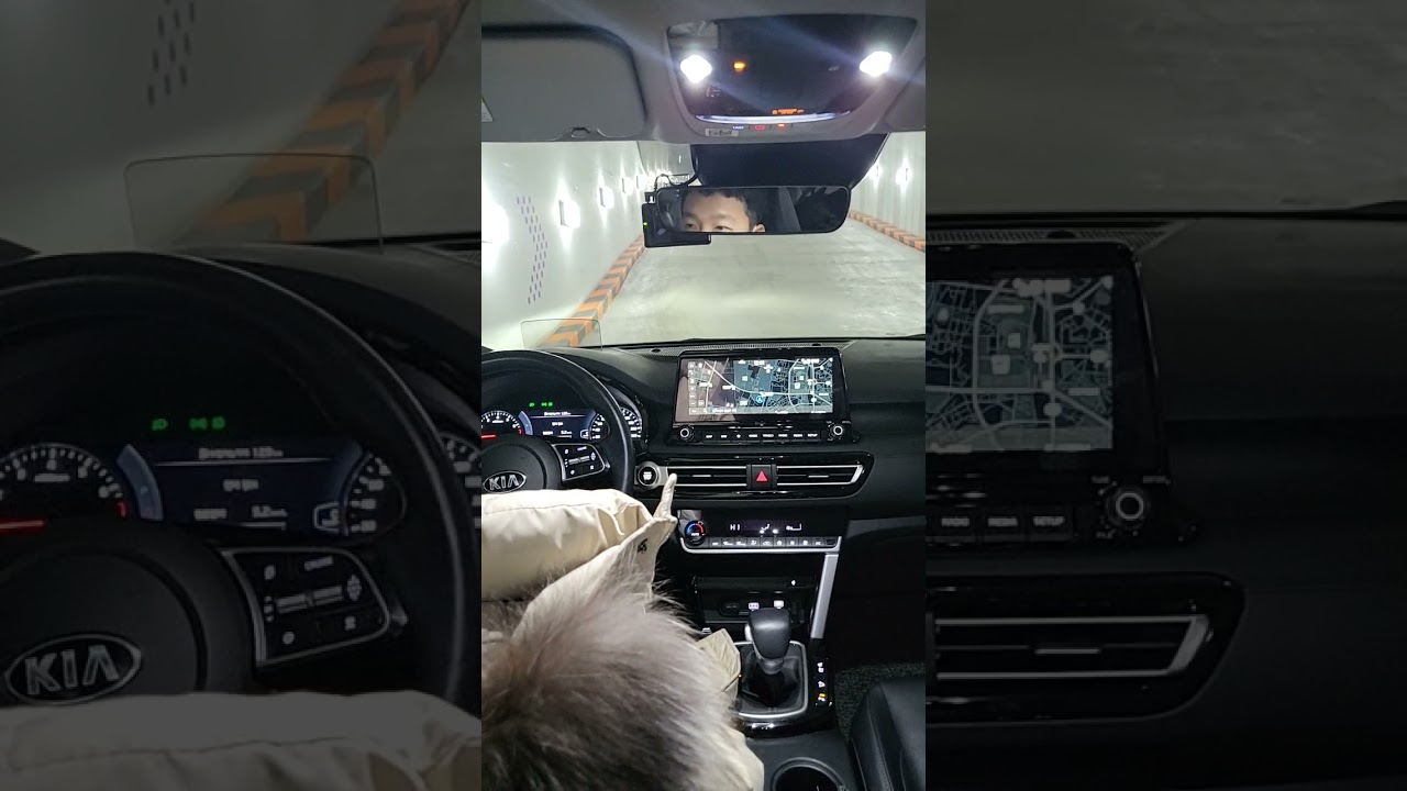 셀토스의 치명적인 단점 2