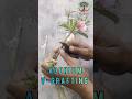 how to easily graft Adenium using V-grafting technique #grafting