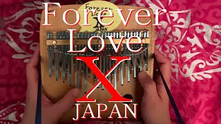 夢弦工房カリンバ】X JAPAN「Forever Love」 - YouTube