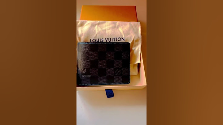 LV Louis Vuitton Slender Wallet