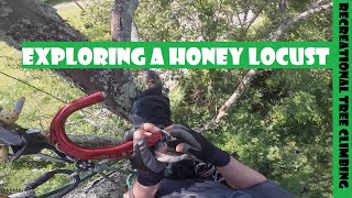 Exploring a Honey Locust &amp; Swinging the Hook_Recreational Tree Climbing