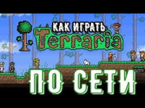 Как играть в ТЕРРАРИЮ ПО СЕТИ с другом на ПК и телефоне