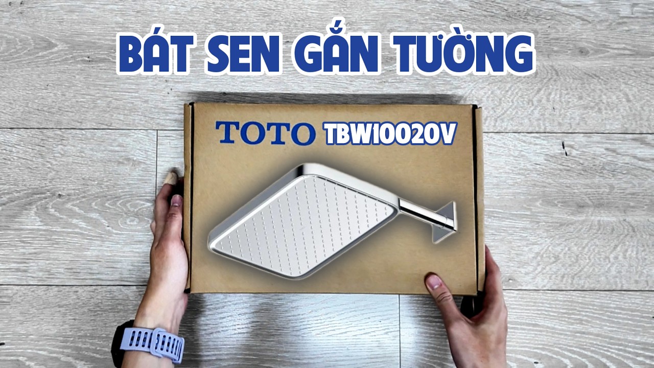 Bát sen gắn tường TOTO TBW10020V