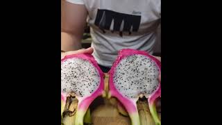 How to dragon fruit #shorts