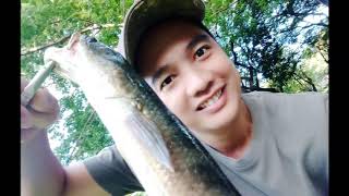 5-14-18 Snakehead Dalag Hunting Philippines Using Ultralight Gear