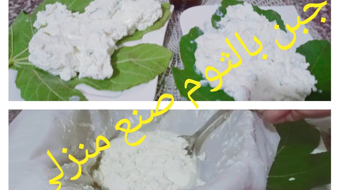 جبن منزلي بالثوم 🧀 مذاق رائع وصفة سهلة وصحيحة من أول مرة بمكون واحد ...