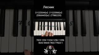 Как играть Лесник Король и шут на пианино 🎹 Обучение (Forester Korol i shut)