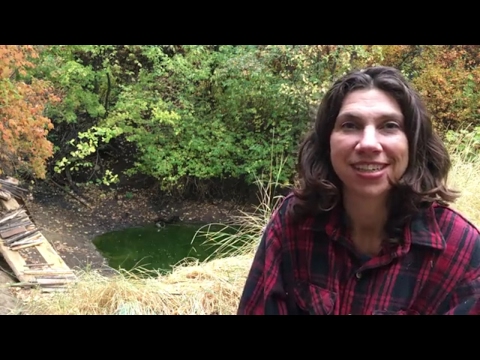 The Secret to Slowing Down Your Life | Esther Emery