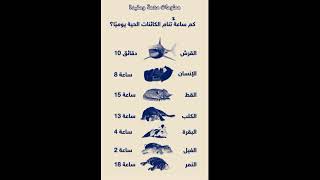 ساعات نوع الحيوانات مدهش#هام جدا