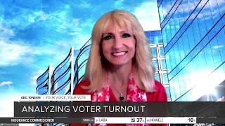 Analyzing voter turnout