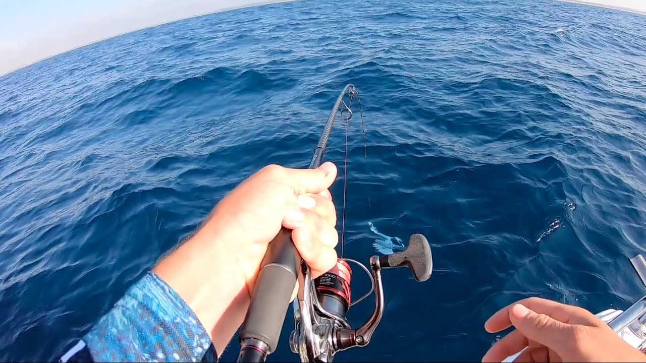 Fishing Offshore Soft Plastics YouTube