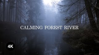 Relaxing Forest River in Spring with Birds and Forest clear ambient Sound. ASMR, Relax and Focus