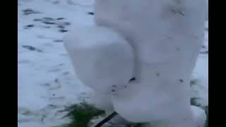 Among Us Snowman (Meme)