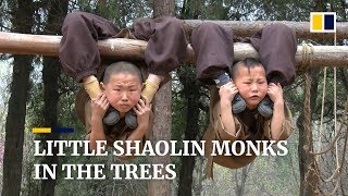 Young Chinese Shaolin monks display amazing feats of flexibility Resimi