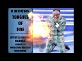 Tongues of fire  apostle johnson suleman 8 hours