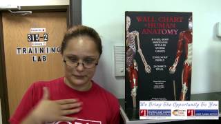 Testimonials for Number 1 Staffing and Career Training Professionals, LLC