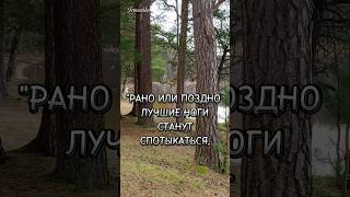 "Лишь доброе сердце способно сиять ярким светом и следовать верным путём." - цитата У. Шекспира