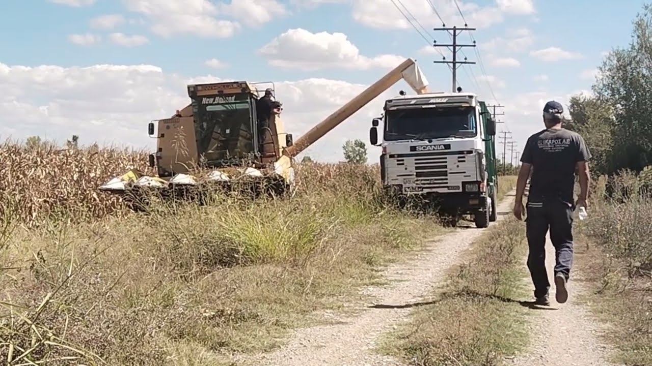 New Holland 8080-Αλωνισμος καλαμποκιου