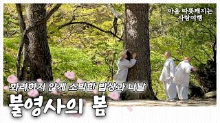 화려하지 않지만 소박한 밥상과 나날들, 충만한 봄🌷🌸🍀 울진 불영사 이야기｜[국내여행] KBS 20170505