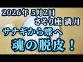2026年5月2日さそり座満月♏心が動くとき!!「感情」の対処法はコレです✨