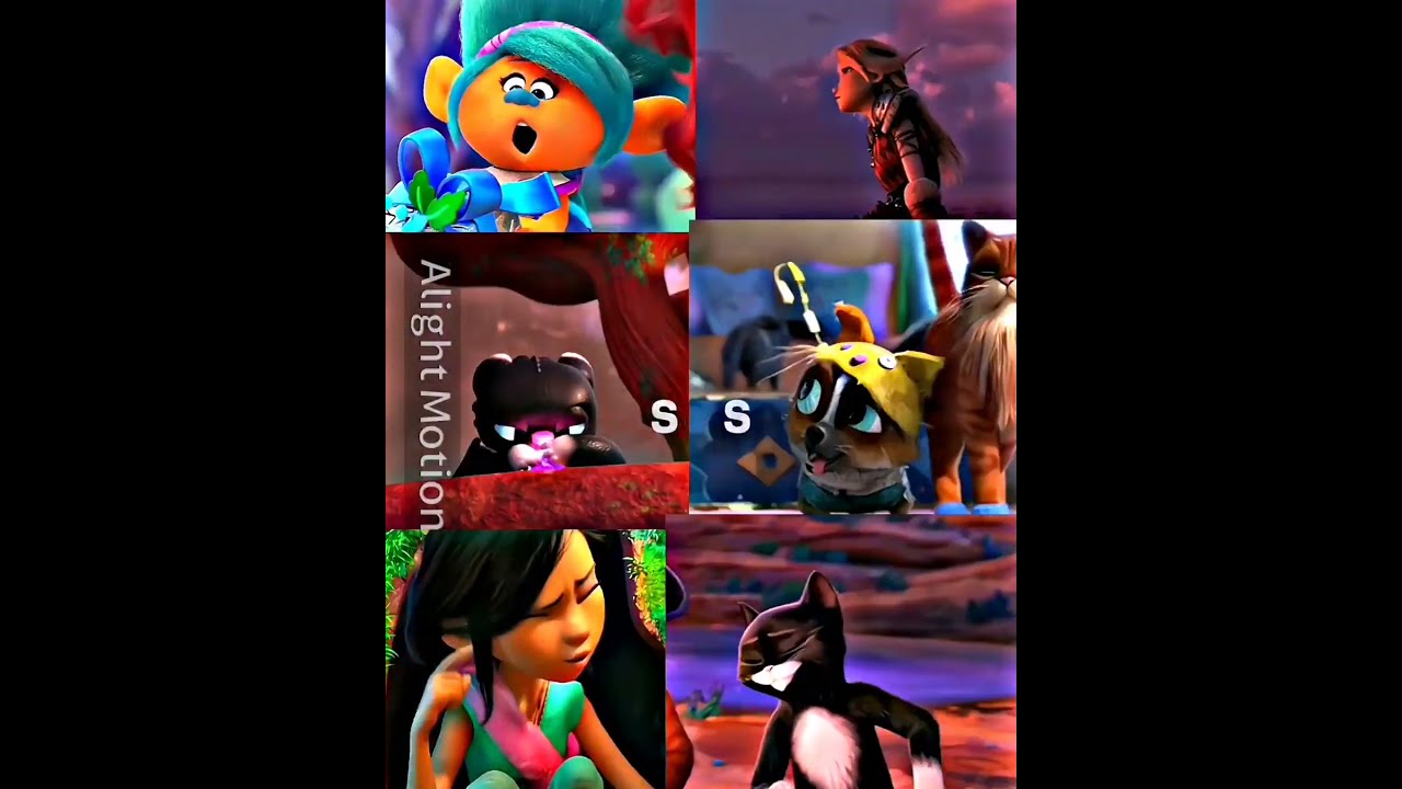 6 VS