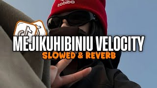Download Lagu DJ MEJIKUHIBINIU VELOCITY V2 - TENXI, SUISEI \u0026 JEMSII ( BOOTLEG imamsidik ) SOUND FYP TIKTOK 2025 MP3 Download Lagu DJ MEJIKUHIBINIU VELOCITY V2 - TENXI, SUISEI \u0026 JEMSII ( BOOTLEG imamsidik ) SOUND FYP TIKTOK 2025 MP3