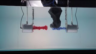 Sherwin Williams Emerald Epiphany | Making Of