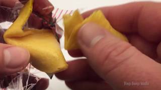 Fortune Cookie #6 | Bingo Bango Media