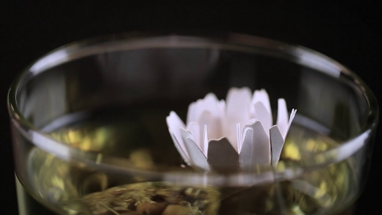 Flowering Tea Bags YouTube