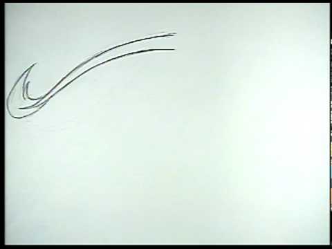 Pendulum Animation- Lion's Tail