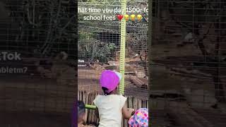 Marr💔😩😩 Pretoria zoo is getting old🤣🤣🤣🤣#tiktok #tiktokviral#southafrica#pretoria