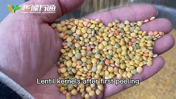 YTBD Lentil Peeling Machine, Pulses Splitting Machine