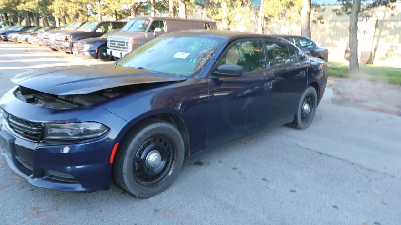 Perry Auctions Inc. YouTube