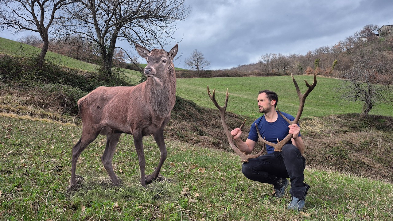 TESORI NEL BOSCO: DUE STANGHE DI CERVO, FIORI E PRIMAVERA!