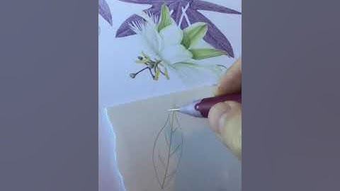Using an embossing tool to create veins in botanical art with coloured pencil