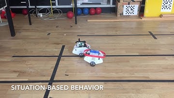 Vision Based Control of Collaborating Mobile Robots